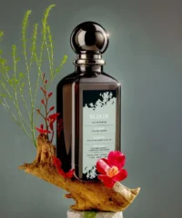 Divina Elixir